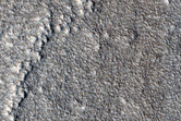Arcadia Planitia Terrain Sample
