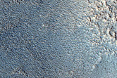 Dendritic Channels in Protonilus Mensae
