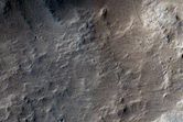 Western Amazonis Region
