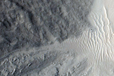 Gully Monitoring
