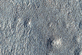 Infilled Crater with Overlying Secondary Craters in Arcadia Planitia
