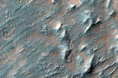 Possible Phyllosilicate-Rich Terrain in Nirgal Vallis
