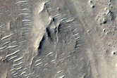 Nili Fossae Channel
