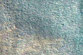 Gully Monitoring
