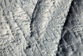 Surfaces in Lucus Planum Region
