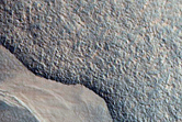 Gully Monitoring
