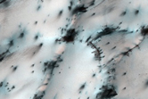 Dunes with Interesting Fans
