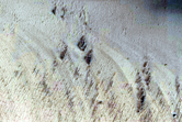 Slope Streak Monitoring
