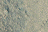 North Polar Crater
