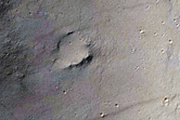 Apollinaris Patera

