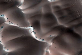 Dunes Dubbed Buzzel
