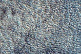 Pedestal Crater in Northern Plains
