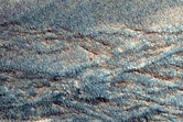Gully Monitoring
