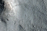 Gully Monitoring
