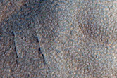 Gullies in Northern Mid-Latitude Crater
