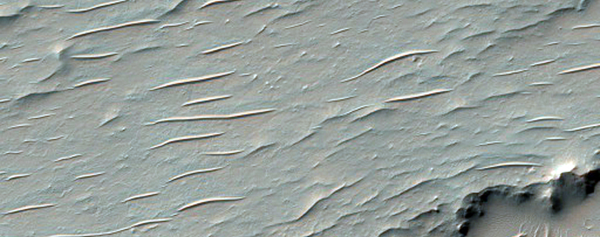 Lobate Feature in Crater

