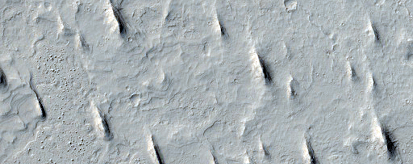 Athabasca Valles Lava Margin
