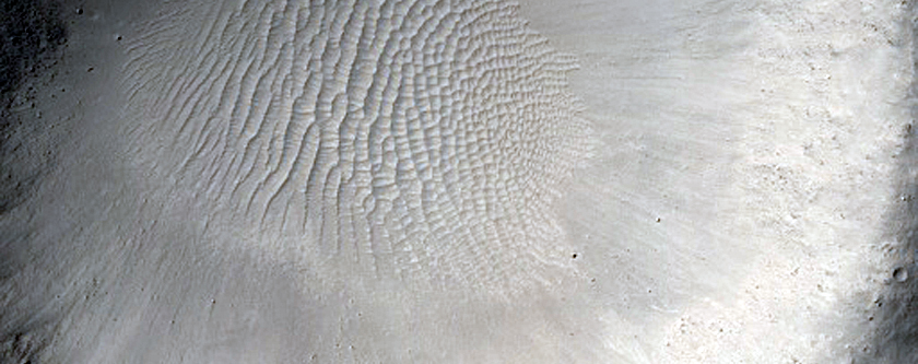 Well-Preserved 1-Kilometer Impact Crater in Elysium Region
