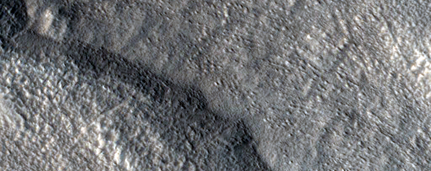 Gullied Crater in Tempe Terra
