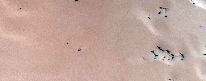 Teardrop Defrosting Features on Dunes
