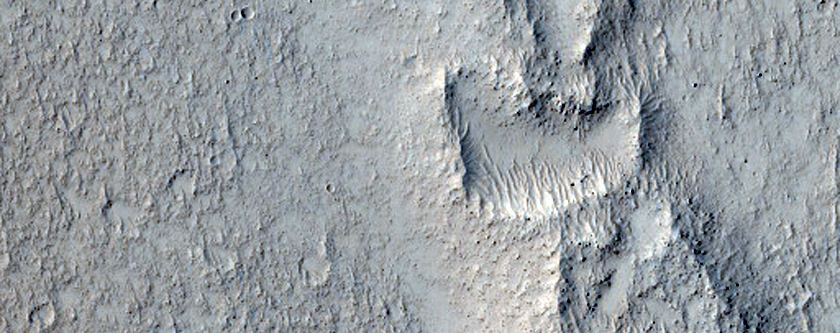 Ring-Shaped Landforms between Arcadia Planitia and Amazonis Planitia