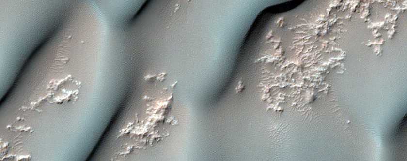 Tyrrhena Terra Crater Dunes
