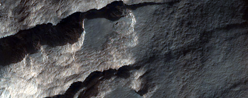 Layered Bedrock in Terby Crater

