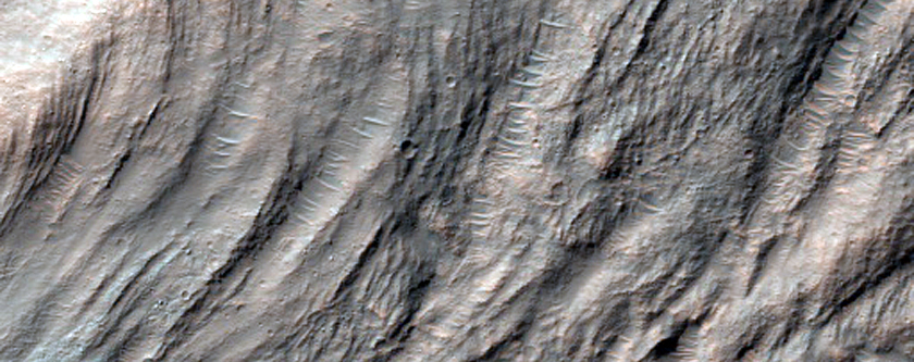 Landslide in Southern Mid-Latitude Crater
