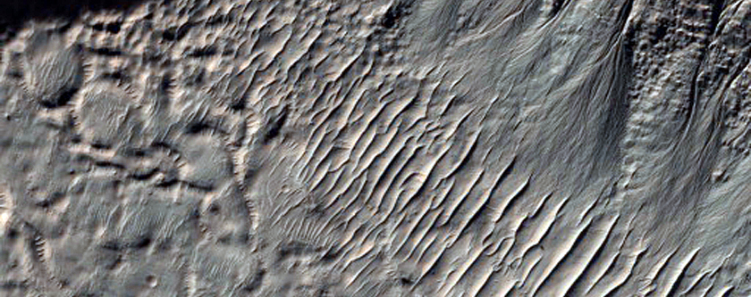 Gully Monitoring
