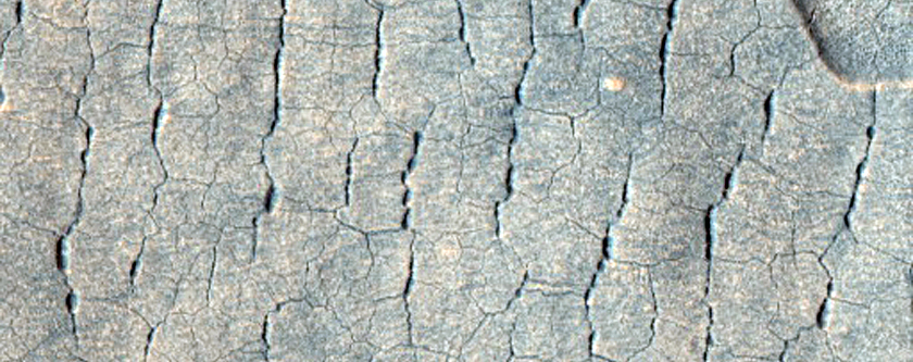 Pits and Scalloped Depressions in Utopia Planitia
