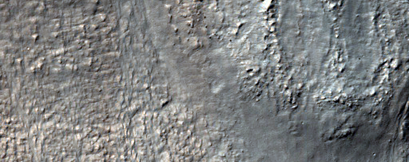 Gully Monitoring
