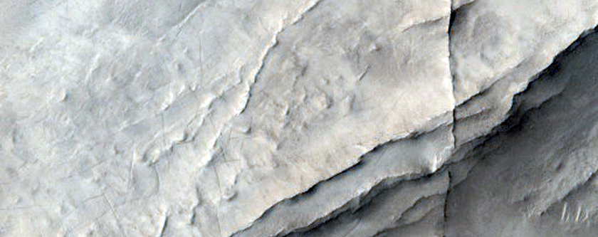 Raised Volcanic Ridges North of Syrtis Major Region
