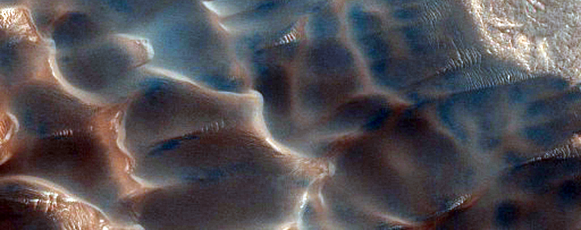 Dunes Dubbed Buzzel
