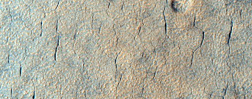Utopia Planitia Surface
