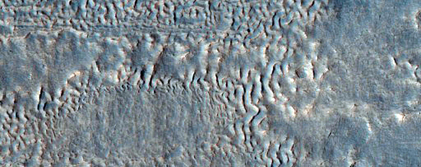 Gullies along Mesa Wall in North Tempe Terra
