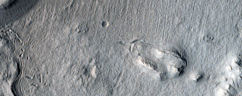 Thick Flow in Protonilus Mensae
