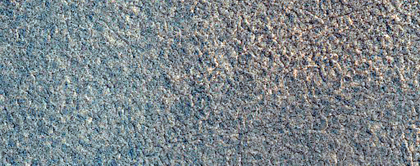 Season Defrosting Pattern
