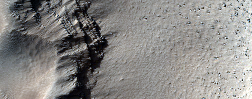 West Arsia Mons
