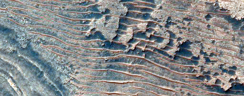 Candidate Landing Site for 2020 Mission in Melas Chasma
