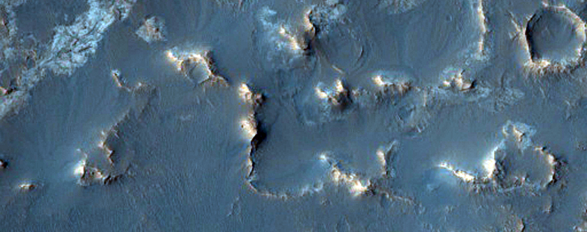 Candidate Landing Site for 2020 Mission in Mclaughlin Crater
