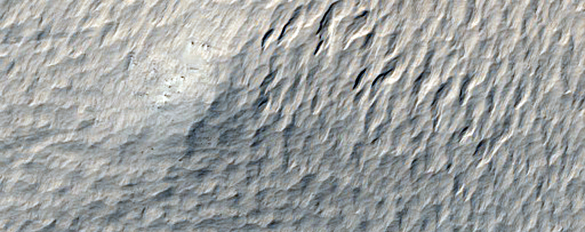 Slope Streak Monitoring in Nicholson Crater
