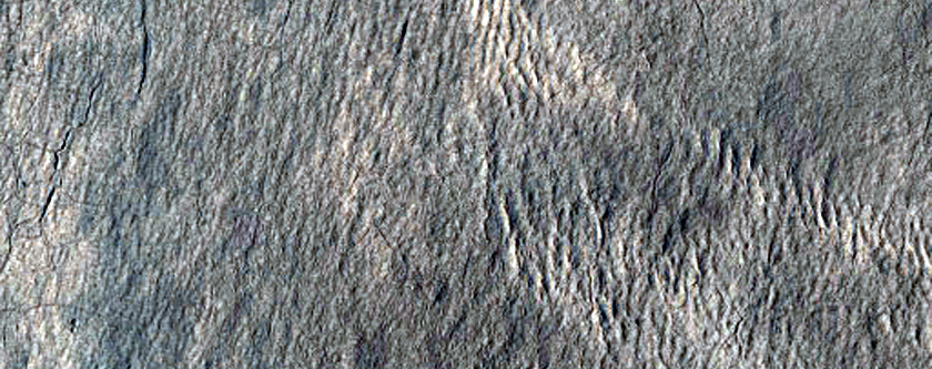 Lines of Pits Near Mound in Protonilus Mensae
