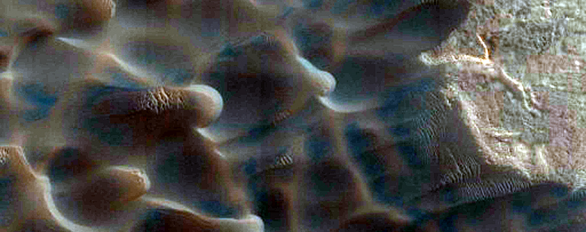 Dunes Dubbed Buzzel
