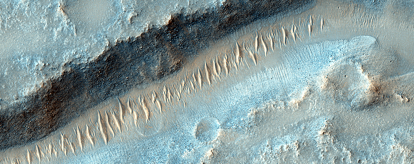 Landforms in the Northeast Syrtis Major Region
