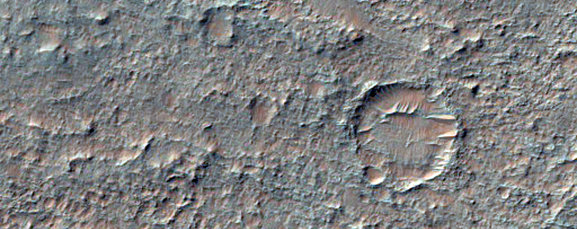 Possible Clays in Ladon Valles Basin
