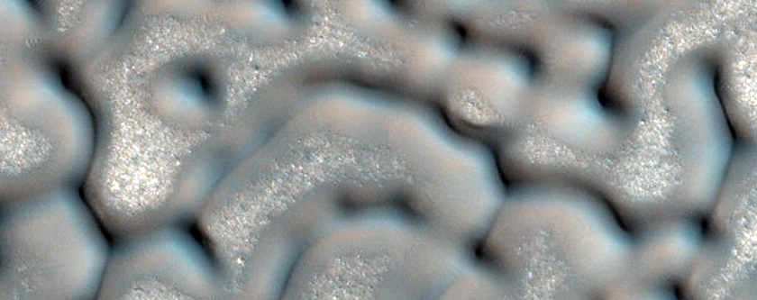 Dunes with Furrows
