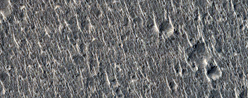 Ridges in Isidis Planitia
