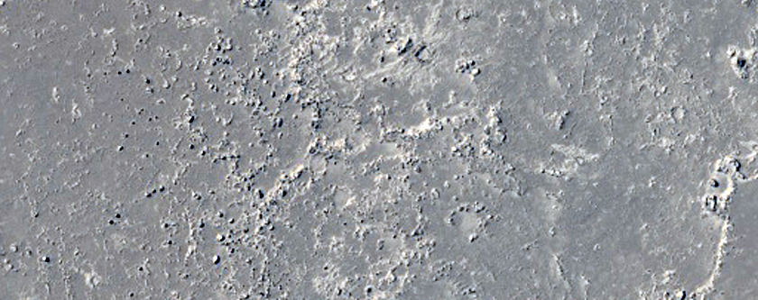 Athabasca Valles Distributary
