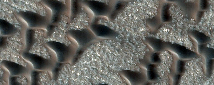 Furrows on Dunes

