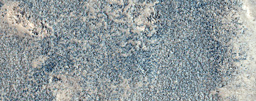 Plains North of Tempe Terra
